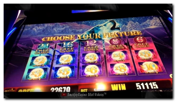 145 Free Spins right now at BGO Casino