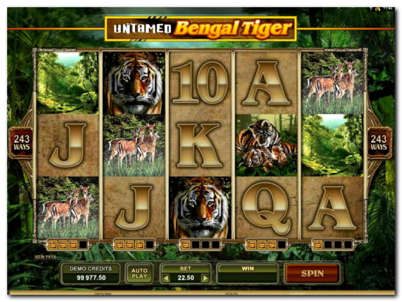 $4825 No Deposit at Net Bet Casino