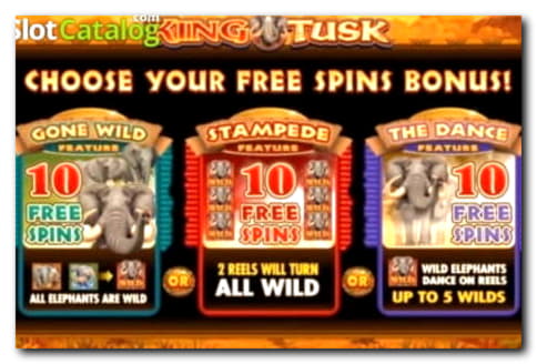 EURO 335 Free casino chip at Wild Slots Casino