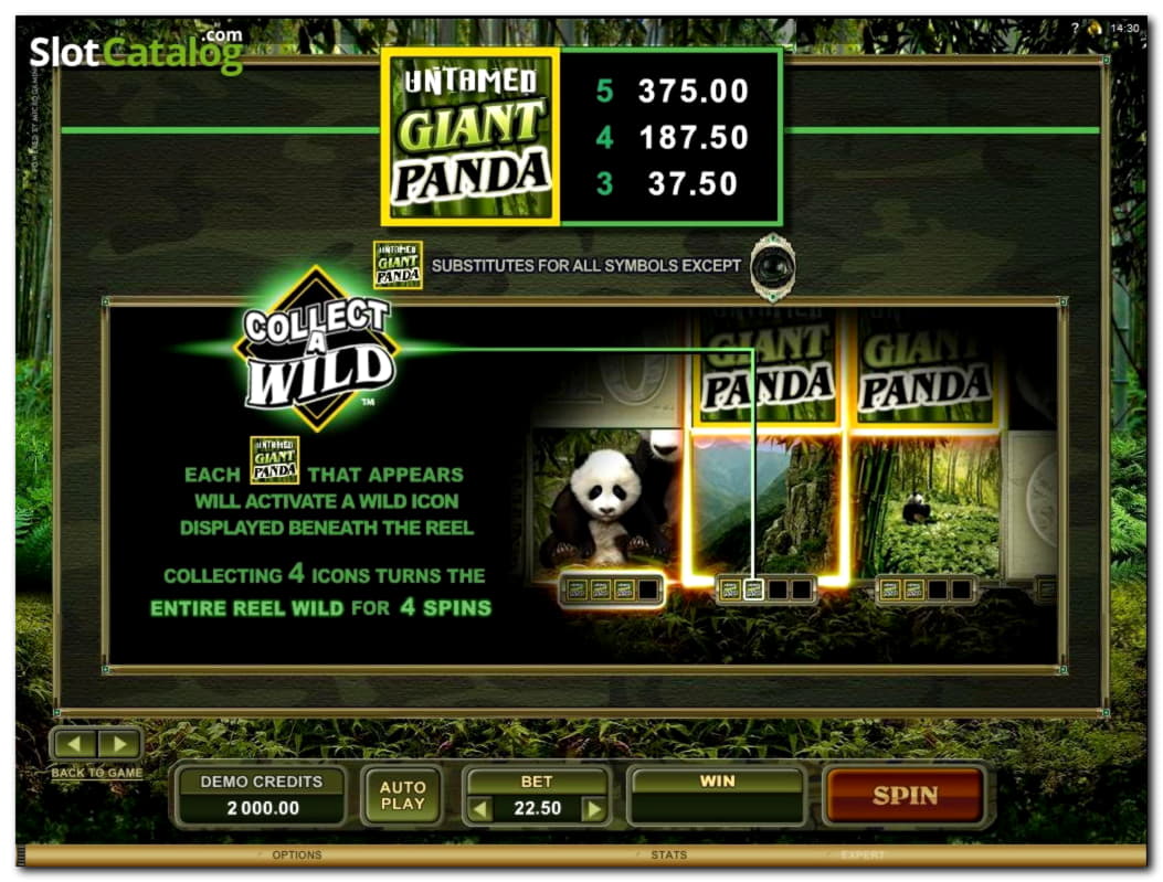 $105 FREE Chip Casino at Jet Bull Casino