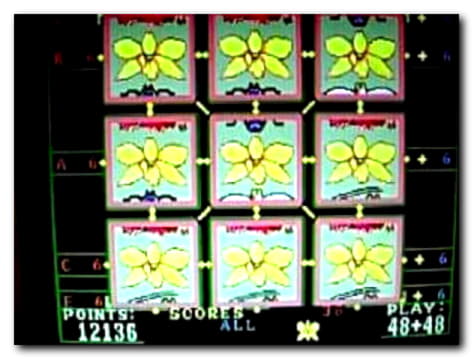 675% First deposit bonus at Slotty Dubai Casino