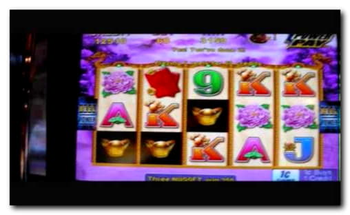 55 Free spins no deposit casino at Wix Stars Casino