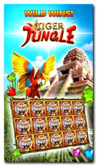 222 Free Spins right now at BGO Casino