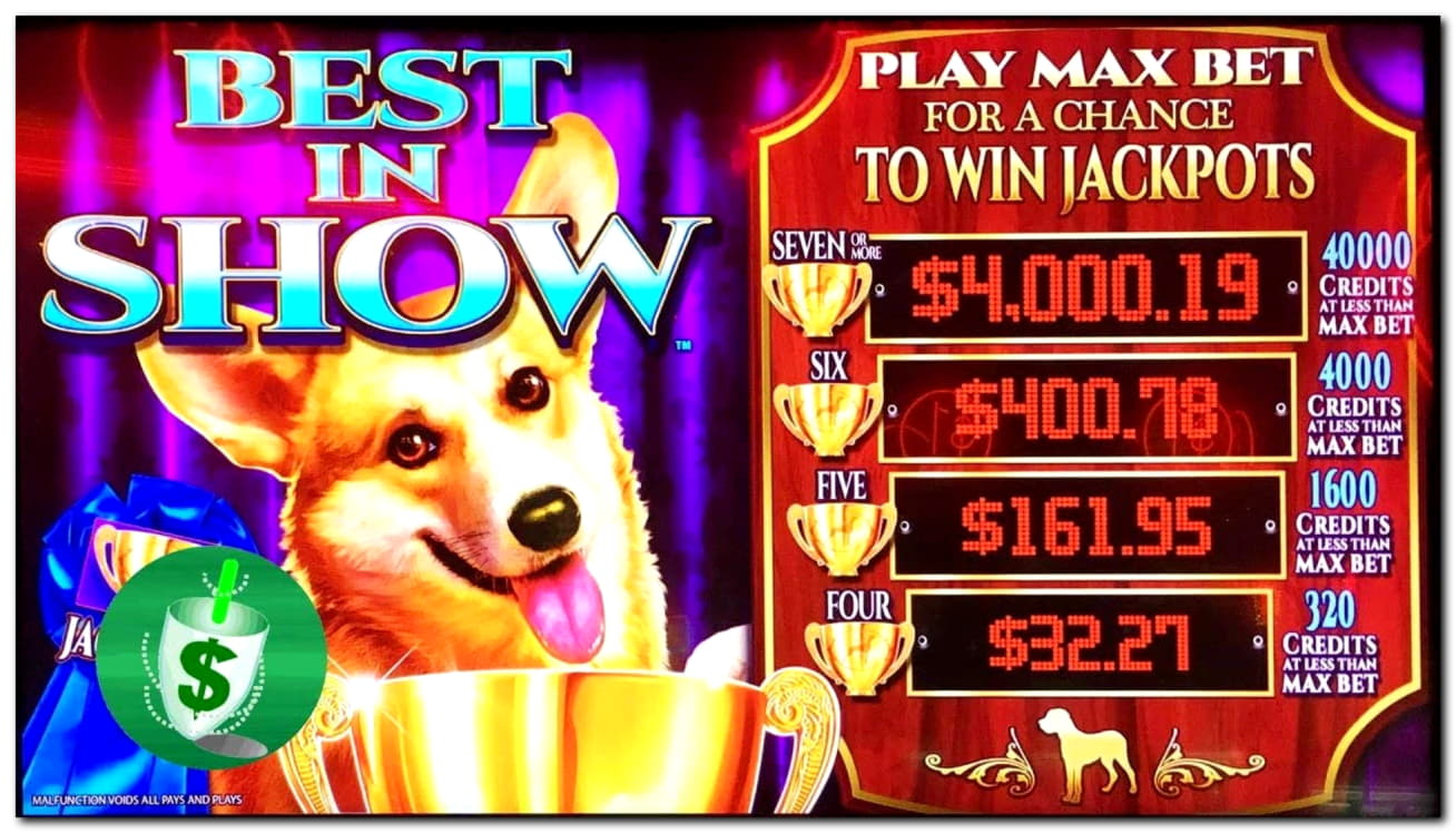 ﻿$490 Mobile freeroll slot tournament at Slotty Dubai Casino