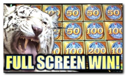 175 Free Spins right now at BGO Casino