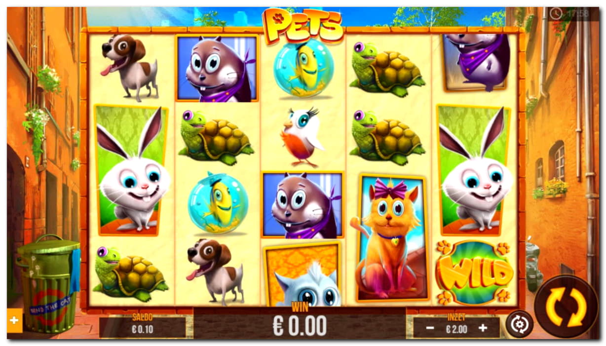 €560 Tournament at CasiPlay Casino
