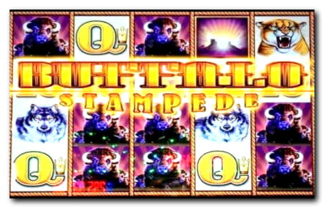 ﻿$90 free chip casino at Opti Bet Casino