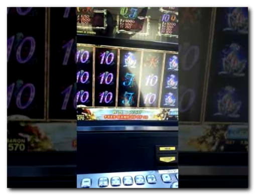 ﻿$100 Casino tournaments freeroll at Black Lotus Casino