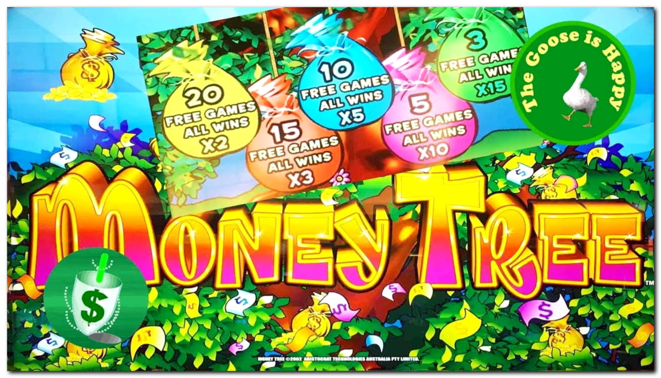€555 No Deposit Casino Bonus at BGO Casino