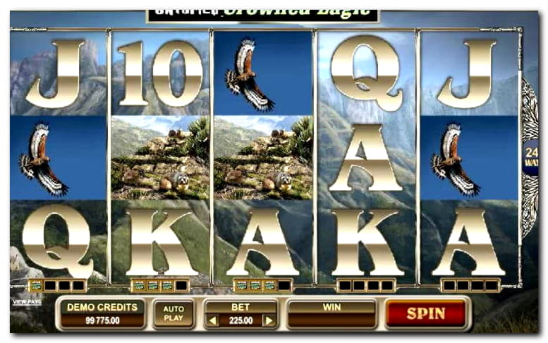 40 Free casino spins at Big Dollar Casino
