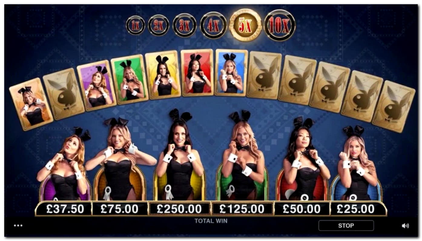EURO 485 Daily freeroll slot tournament at Unique Casino