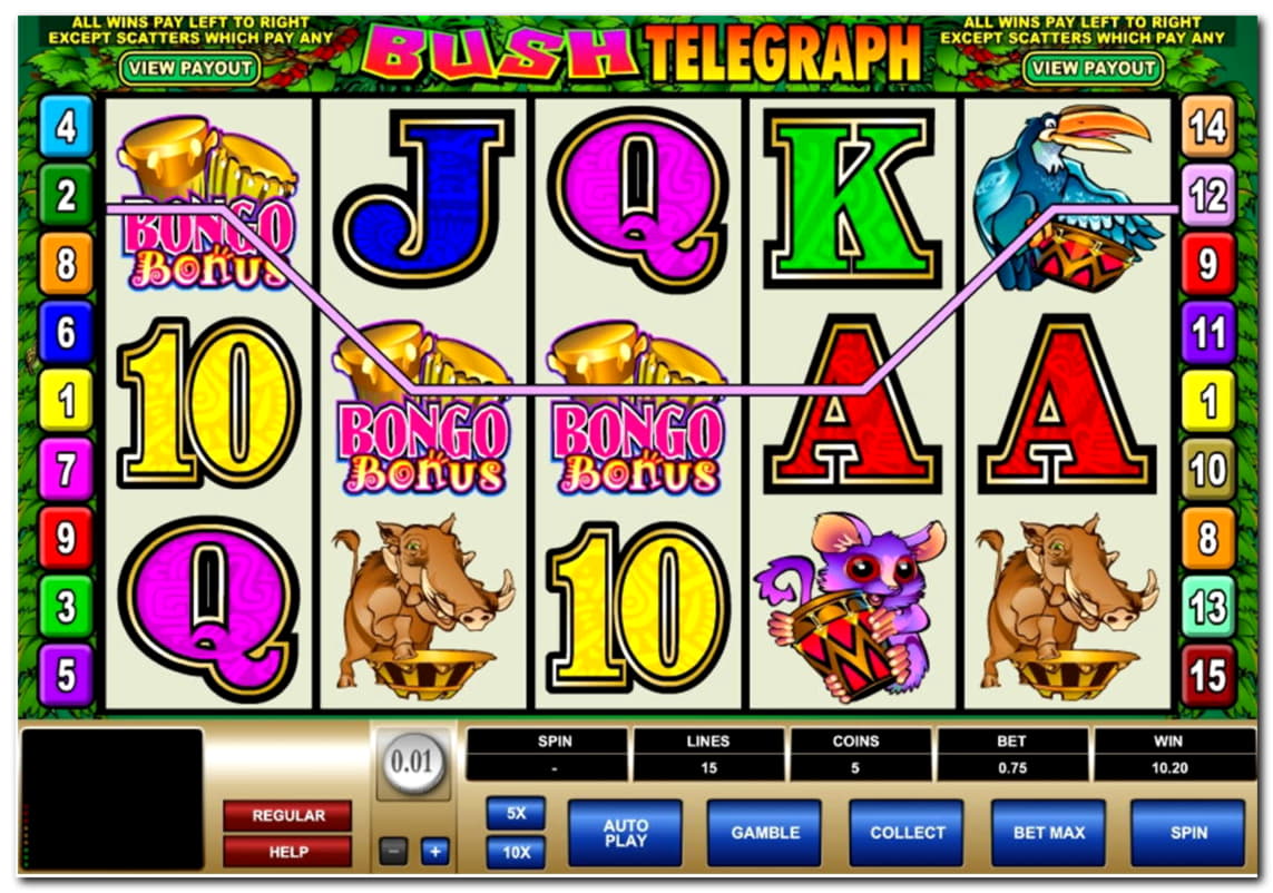 €115 FREE CHIP at Net Bet Casino