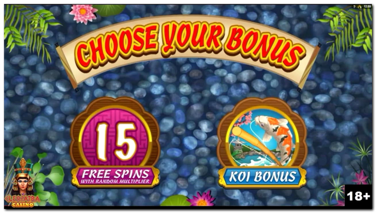 66 FREE Spins at Red Ping Win Casino