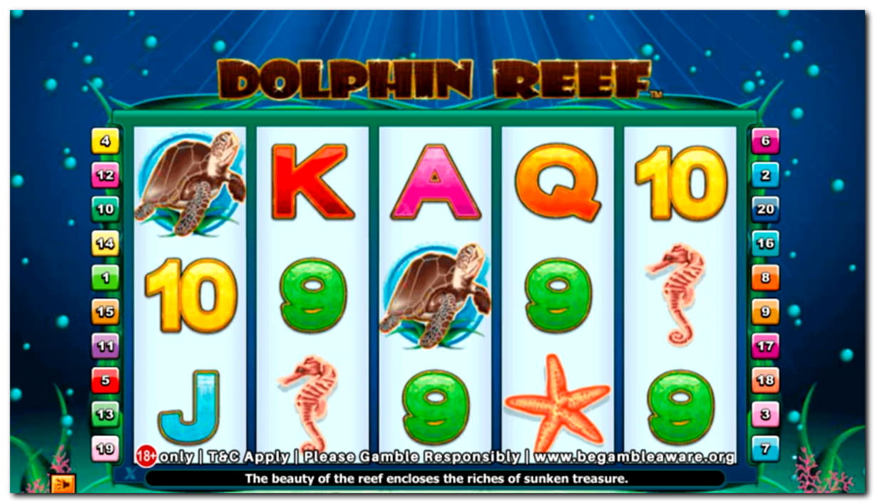 €385 Casino tournaments freeroll at Big Dollar Casino