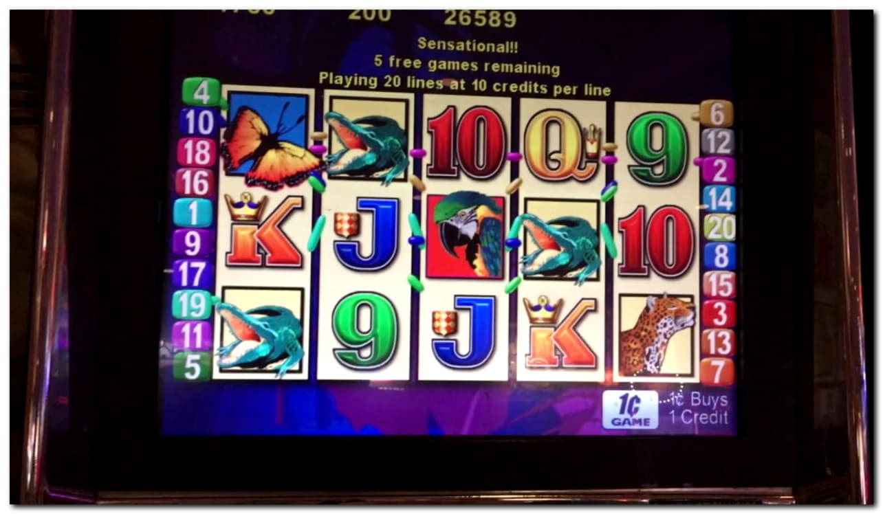 £395 Casino tournaments freeroll at Jet Bull Casino