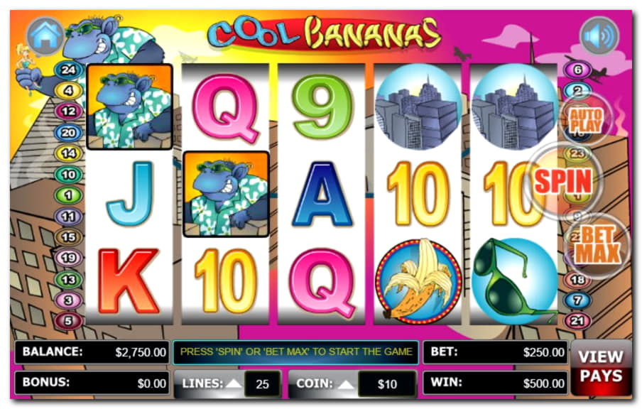 55 free spins no deposit at CasiPlay Casino