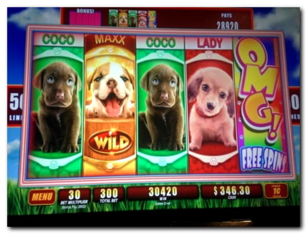 €50 Daily freeroll slot tournament at Cherry Casino