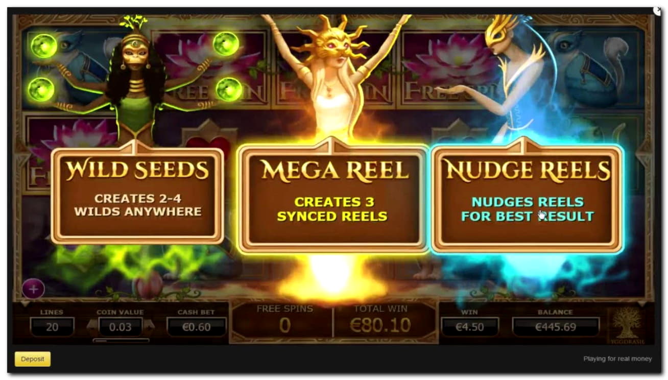 €275 Daily freeroll slot tournament at Opti Bet Casino