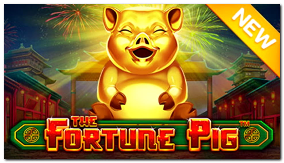 155% Signup Casino Bonus at Next Casino