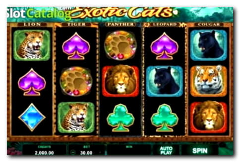 Eur 4925 No Deposit Casino Bonus at CasiPlay Casino