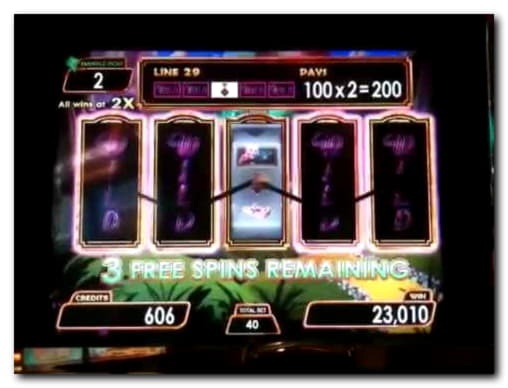 £775 Tournament at Black Lotus Casino