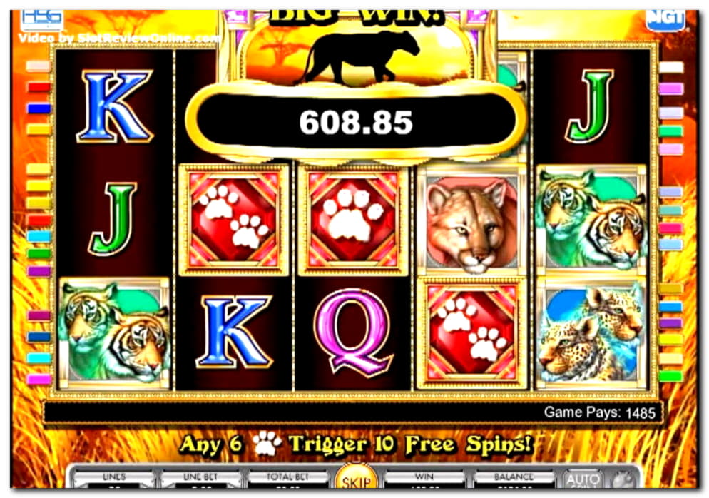 44 Free spins casino at Net Bet Casino