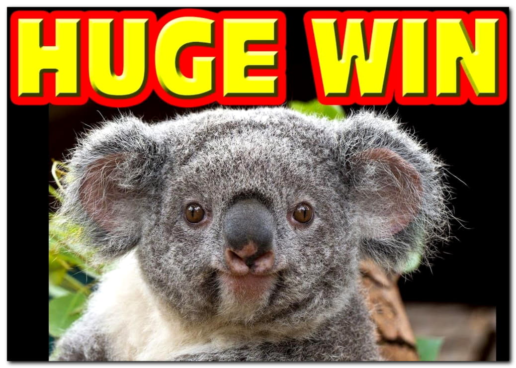€635 FREE CHIP CASINO at Next Casino