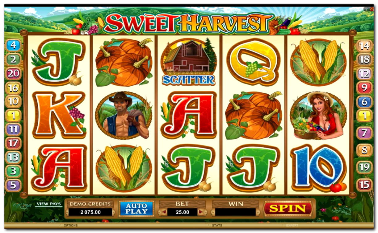 275 Free casino spins at Cherry Casino
