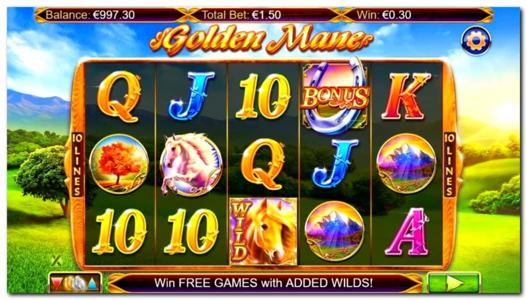 260% No Rules Bonus! at Slotty Dubai Casino