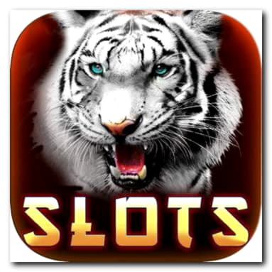 EURO 345 Free chip at Big Dollar Casino