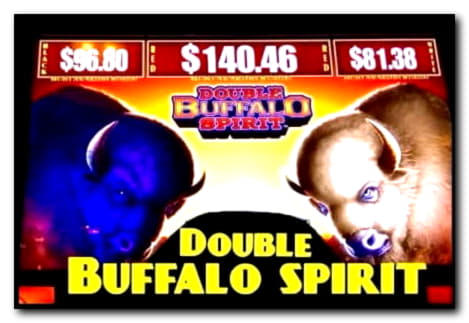 20 free spins no deposit casino at CasiPlay Casino