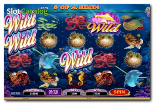 £355 Casino tournaments freeroll at Mansion Casino