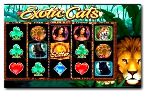 €4885 no deposit bonus casino at Net Bet Casino