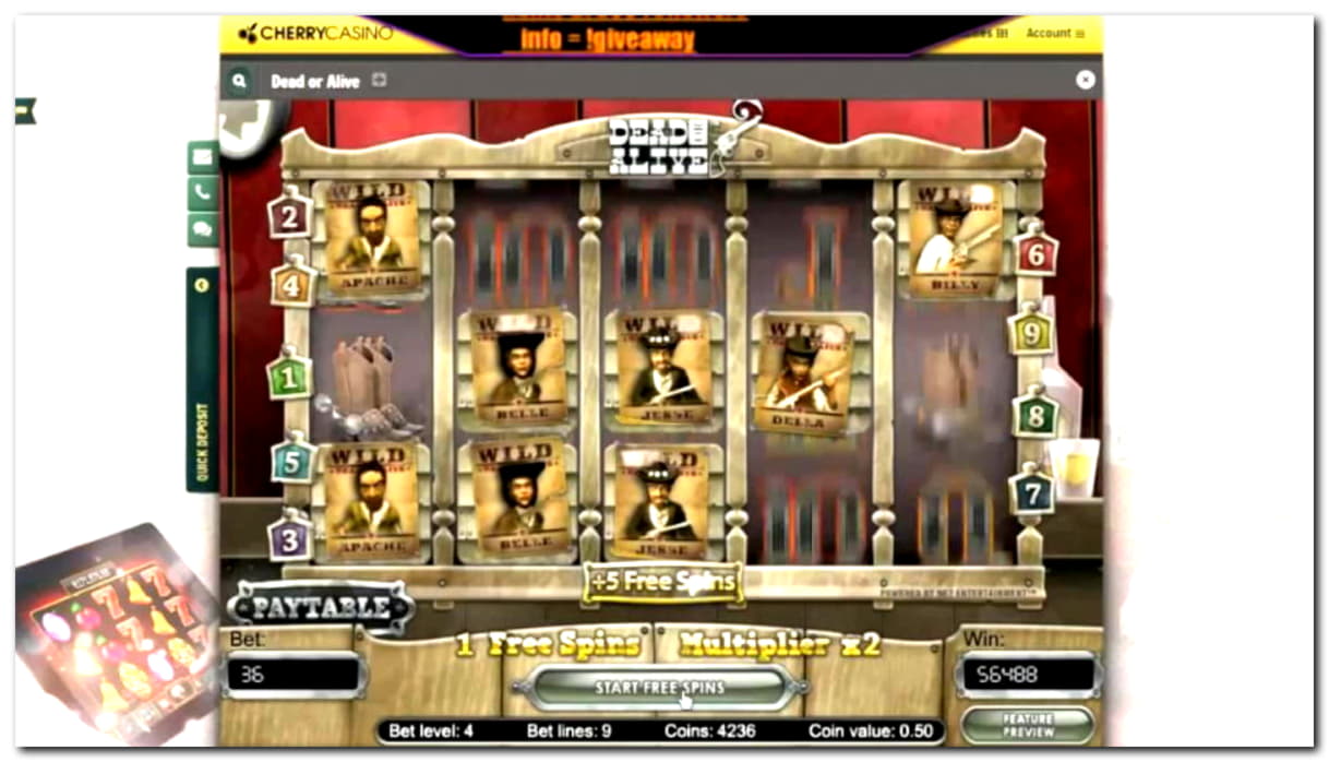 EUR 635 Free Money at Slotty Dubai Casino