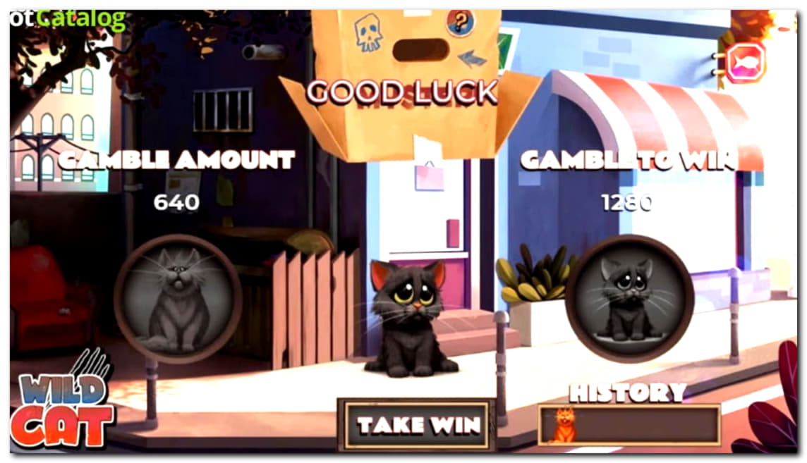575% Best signup bonus casino at Next Casino