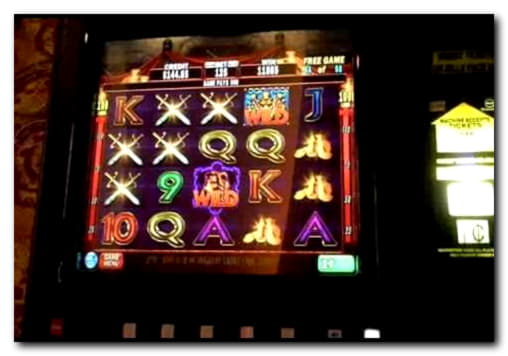 $4070 No deposit at Next Casino