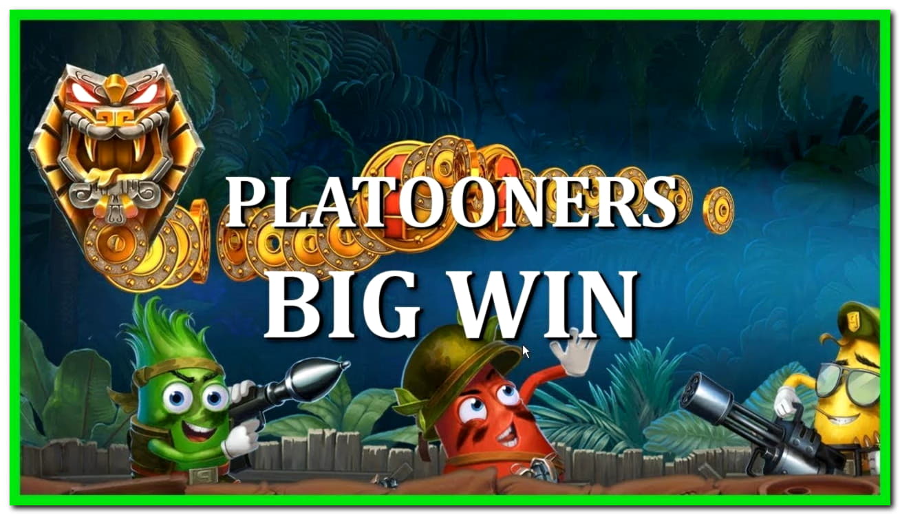290% Match bonus at Next Casino