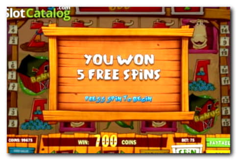 EUR 835 Online Casino Tournament at Karamba Casino