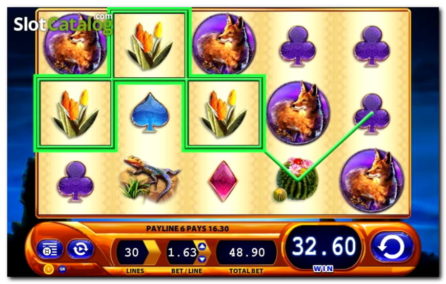 EURO 695 Free Money at Jet Bull Casino