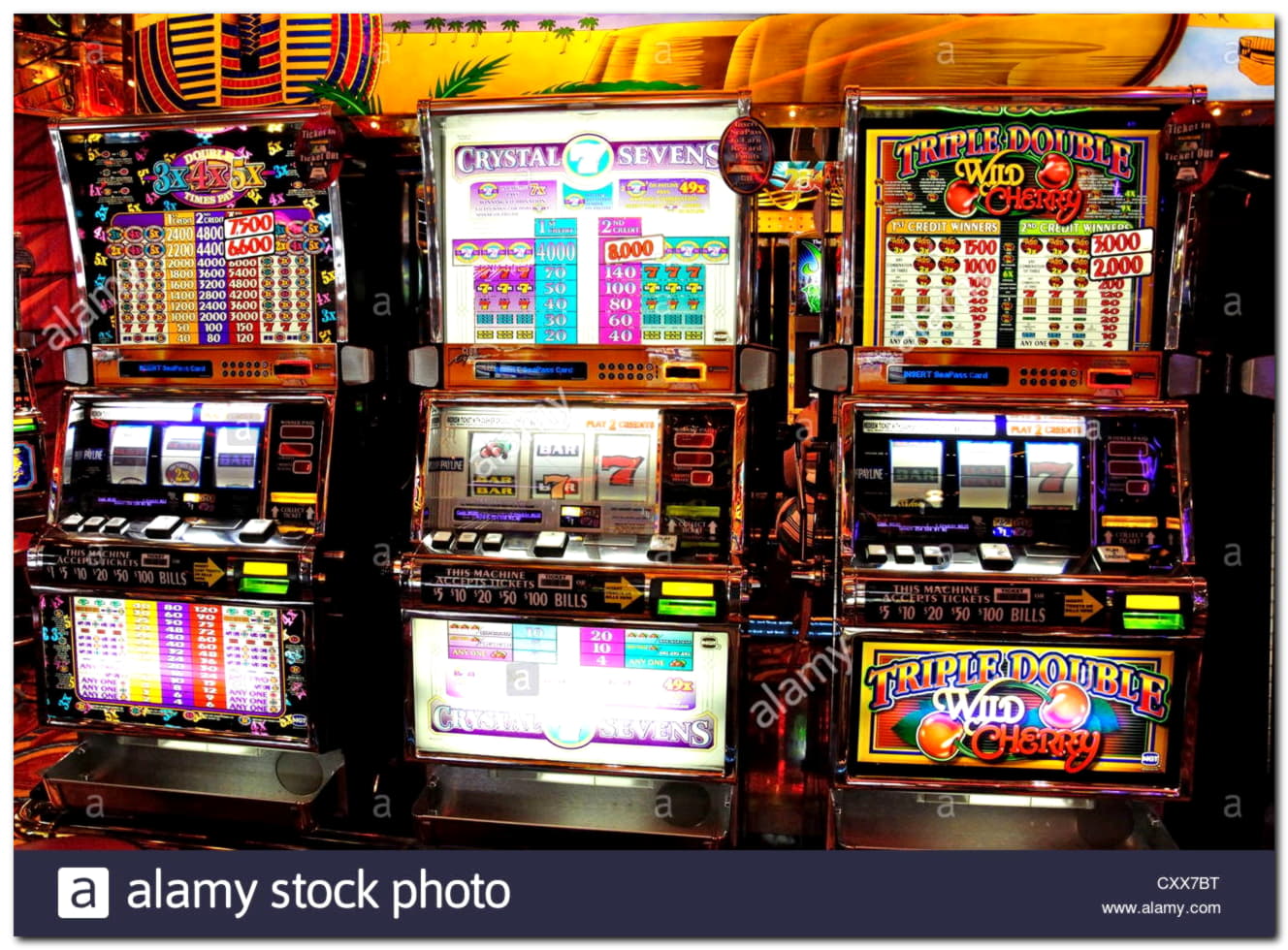 675% Casino Welcome Bonus at CasiPlay Casino