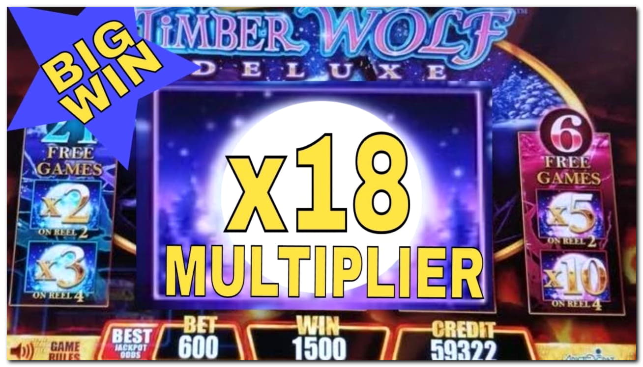 $1705 No deposit bonus code at Slotty Dubai Casino