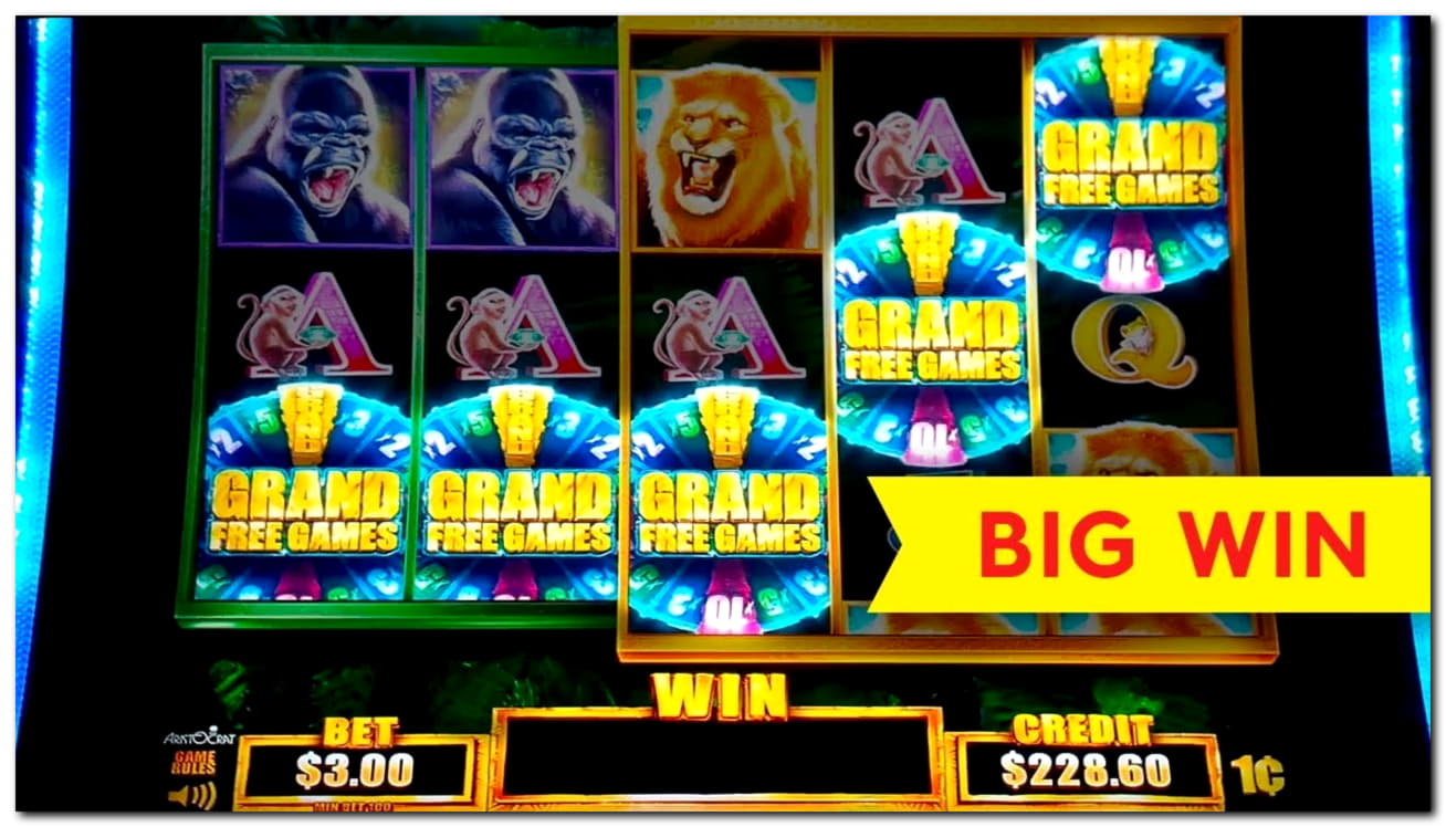 480% Best signup bonus casino at Opti Bet Casino