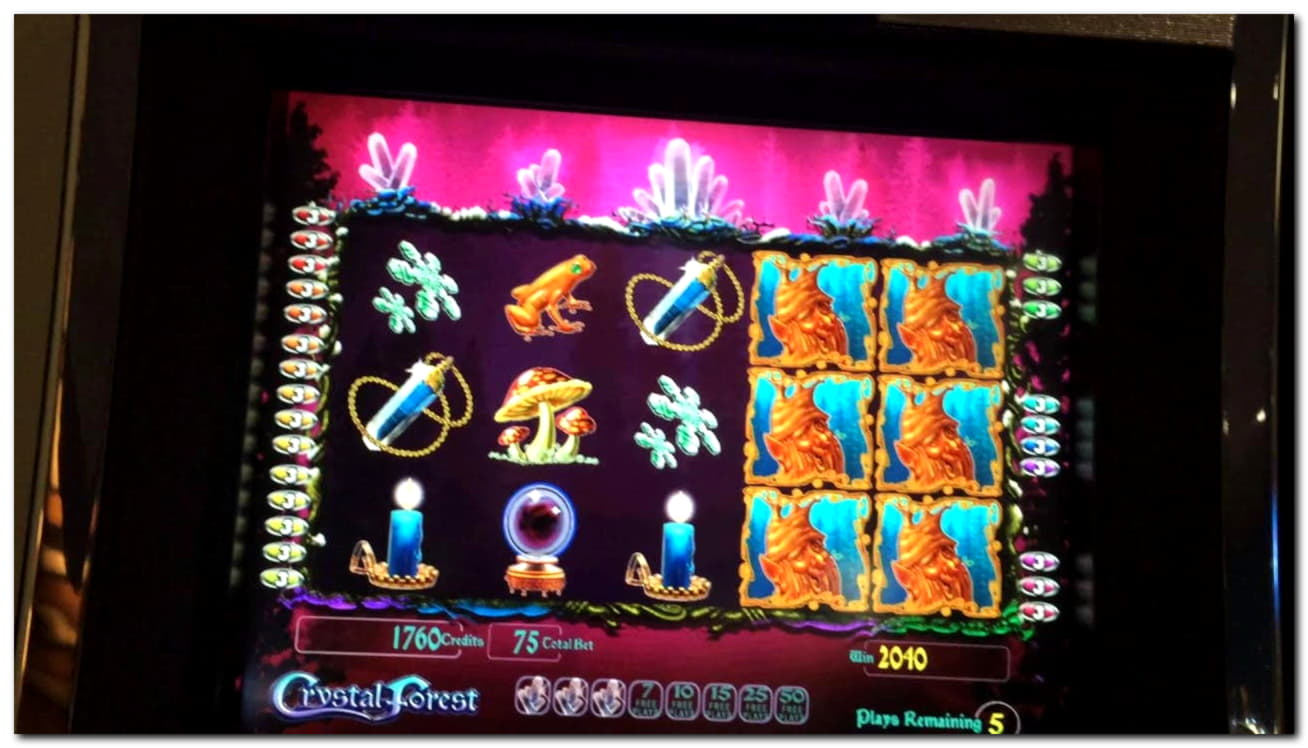 245 Free Casino Spins at Slotty Dubai Casino