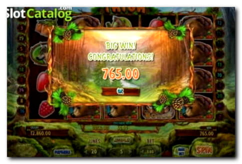 145 FREE SPINS at Next Casino