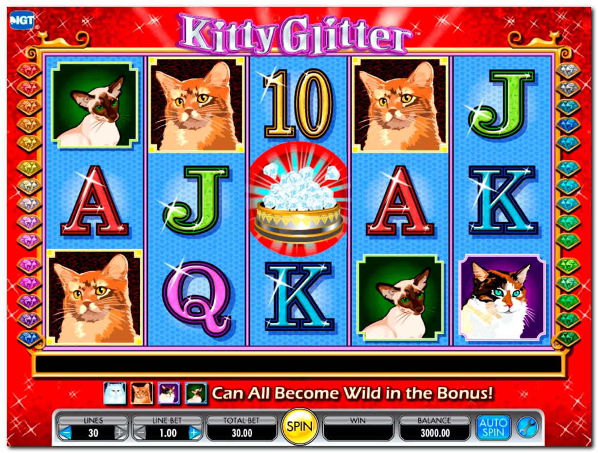 385% Match Bonus at Net Bet Casino
