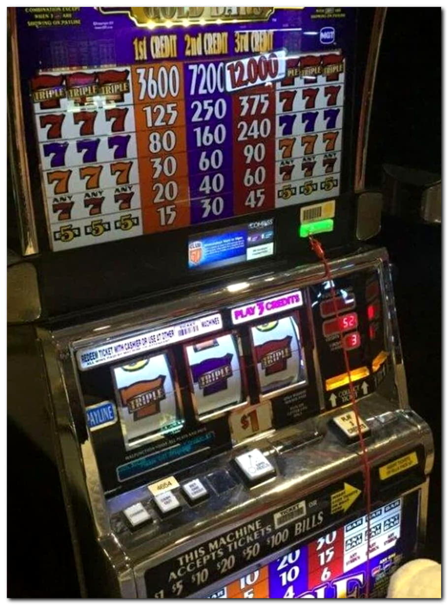 85 Free Spins right now at Slotty Dubai Casino