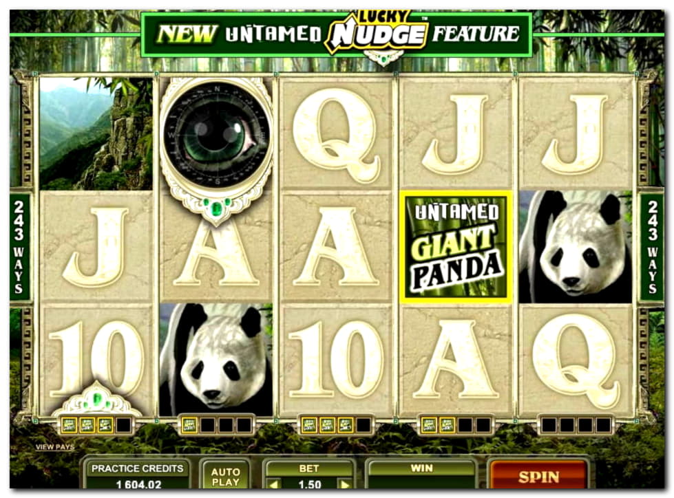160 free spins at Slotty Dubai Casino