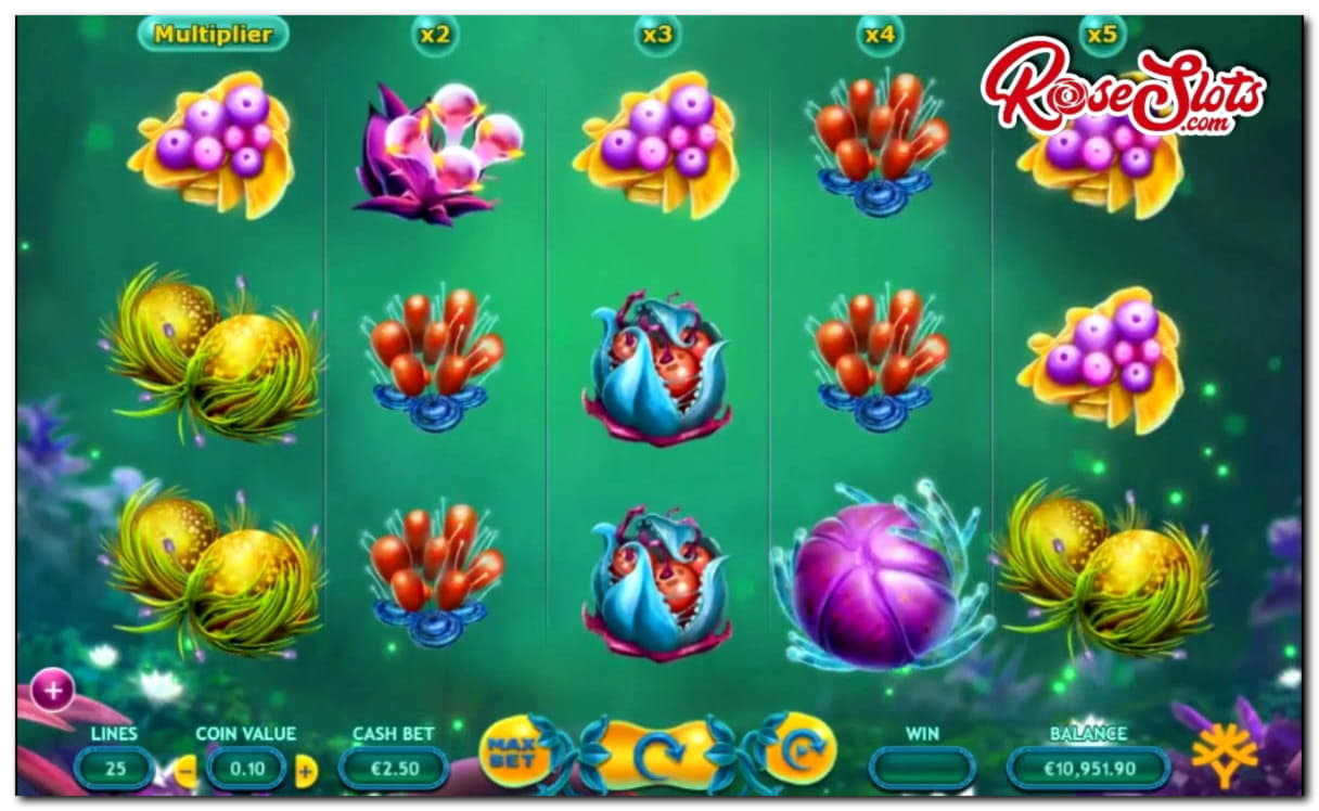 795% No Rules Bonus! at Big Dollar Casino
