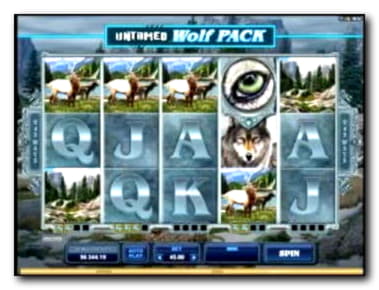 €385 Daily freeroll slot tournament at Next Casino