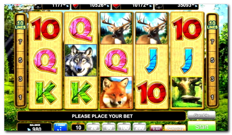 75 free spins no deposit casino at Black Lotus Casino